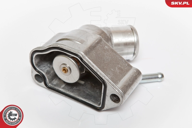 Thermostat, coolant